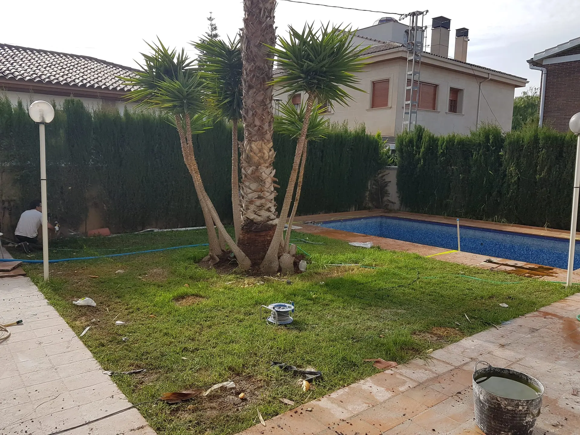 Antes: jardín de césped natural con una palmera y una piscina de gresite azul oscuro al fondo, con herramientas de obra